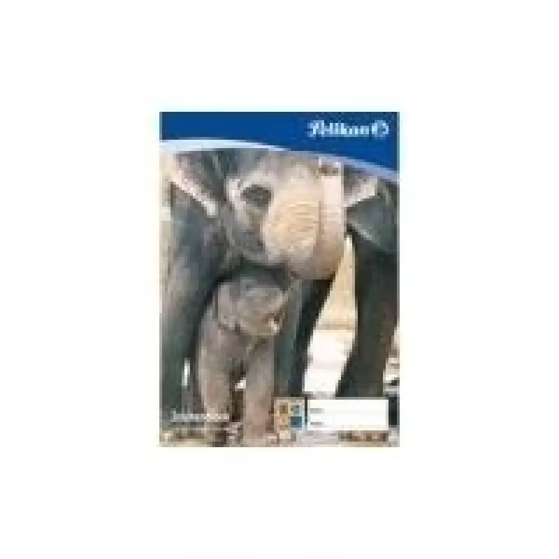 Pelikan Zeichenblock C 2-10, DIN A2, 100 g/kv.m, 10 lapų, bechloris balinimas, perforuotas (137604)