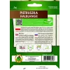 Apte Petražolės Pusiaus ilgos juosta 6m — petražolių veislė, vėlyva, derlinga