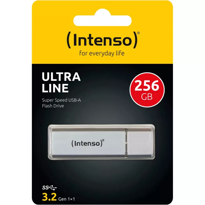 USB atmintukas Intenso 256 GB USB Type-A 3.2 Gen 1 Sidabrinis