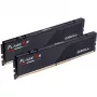 „G.skill F5-5200J4040A24GX2-FX5“ atminties modulis