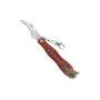 Peilis Speck Mushroom Maker's Knife CC-GC105 — sulankstomas grybautojo peilis su 75 mm lenktu plieno ašmenimis, kompasu, nešvarumų šepetėliu, karabinu, 11,4 cm sulankstytas
