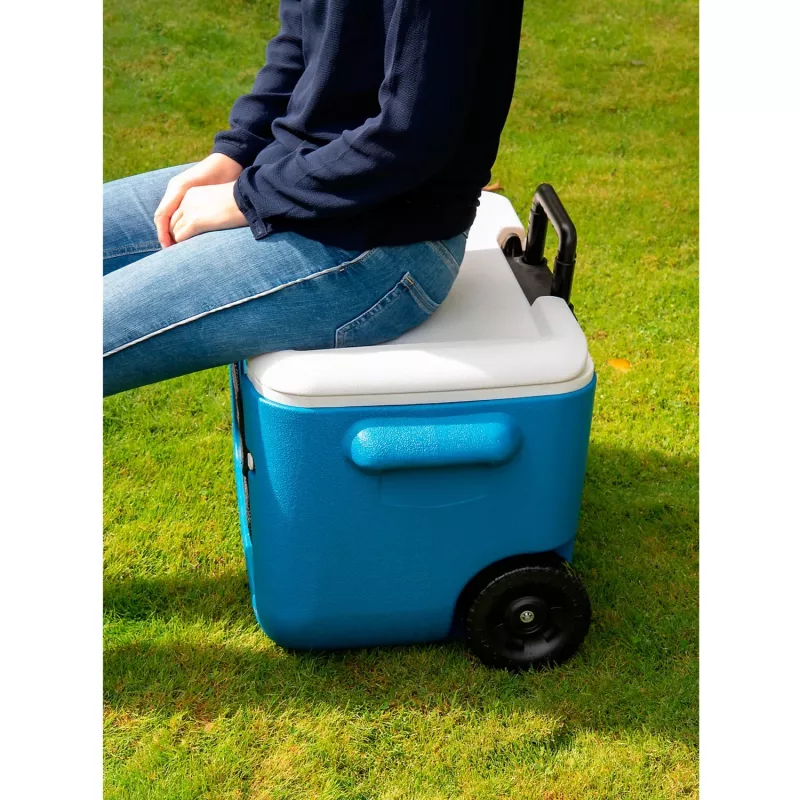 Coleman 2000036081 46 L mėlynas
