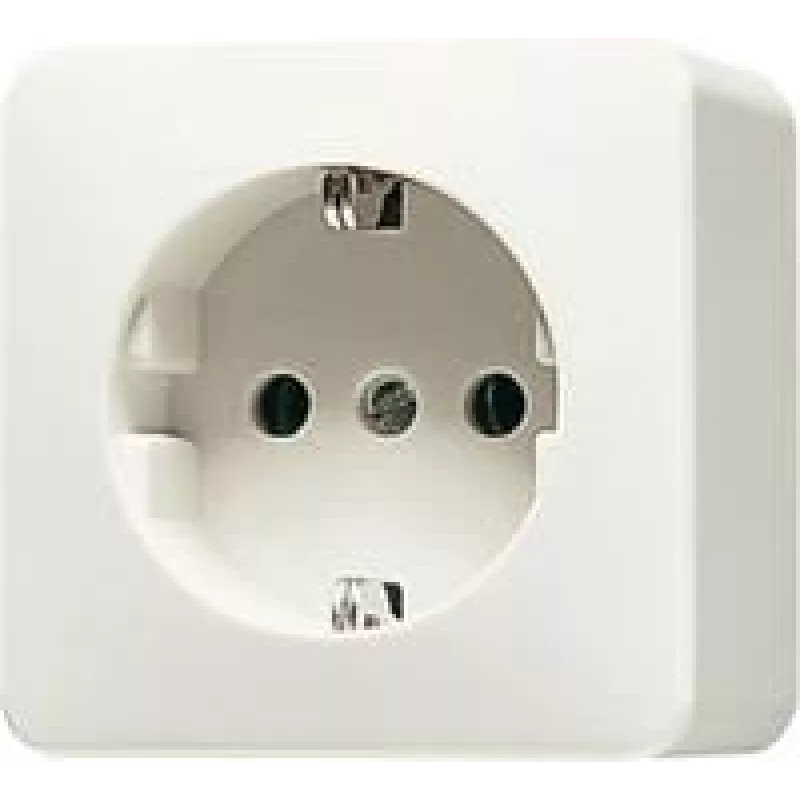 Jung SCHUKO kištukinis lizdas baltas 16A 250V 321 A