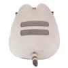 Pusheen Pizza 24cm