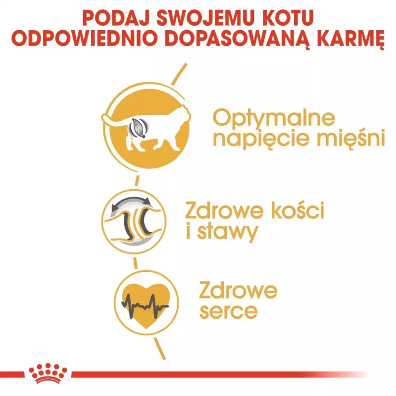 Sausas kačių maistas Royal Canin British Shorthair Adult 10 kg — paukštiena, baltymai 34%, riebalai 19%