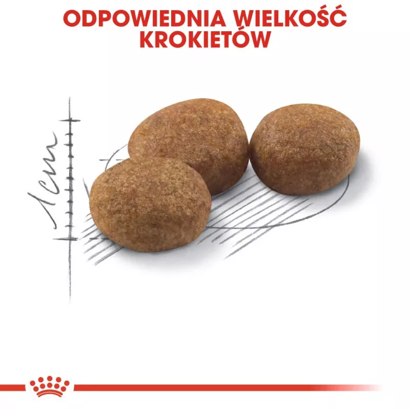 Sausas kačių maistas Royal Canin Sterilised 2 kg — suaugusios sterilizuotos katės, vištiena, 37 % baltymų