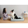 Šunų ir kačių guolis PETKIT Four - M katėms ir mažiems šunims, patalpų, 1 vnt.