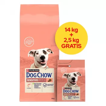PURINA Dog Chow Sensitive Salmon - sausas šunų ėdalas - 14 + 2,5kg