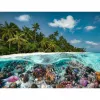 Dėlionė „Ein Dive in the Maldives“ (2000 dalių)