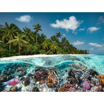 Dėlionė „Ein Dive in the Maldives“ (2000 dalių)