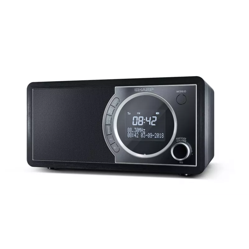 Sharp DR-450 skaitmeninis radijas - juodas, asmeninis, skaitmeninis, DAB, DAB+, FM, 87,5 - 108 MHz, 174,928 - 239,2 MHz, 3 W