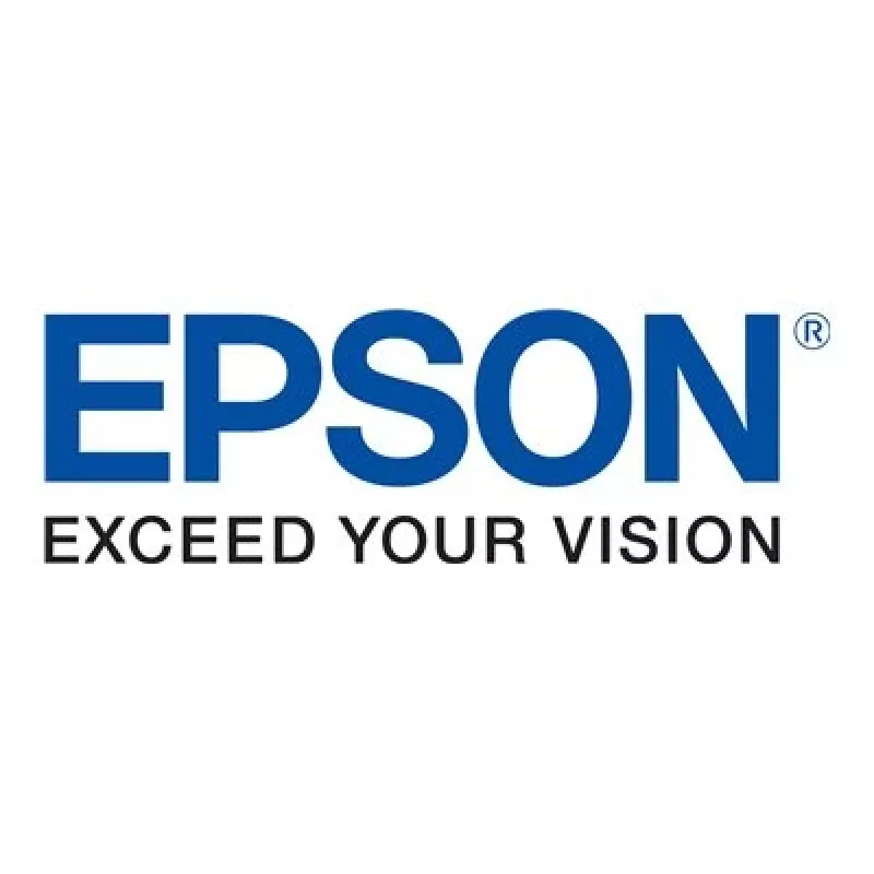 Originali Epson T04Q100 juodas rašalinis kasetė, didelio našumo (XL), suderinamiems Epson spausdintuvams
