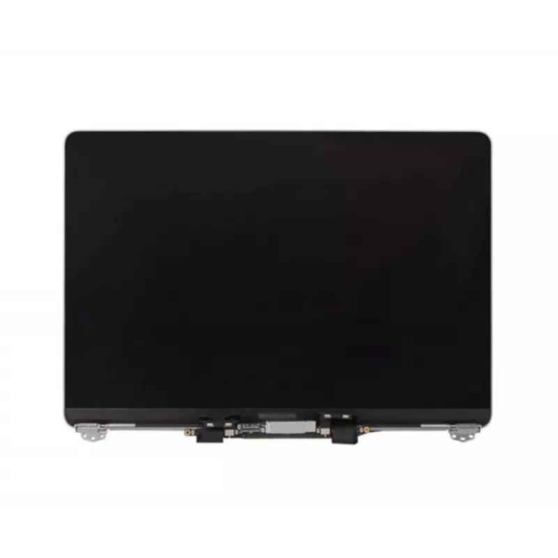 Apple LC302468 Sidabrinis