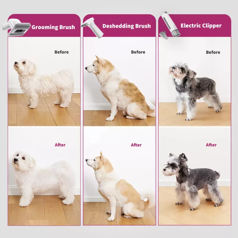 PETKIT DT5-EU dulkių siurblys ir plaukų kirpimo mašinėlė katėms ir šunims, juoda/purpurinė
