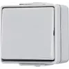 Mygtukinis jungiklis Jung 606 W 1P laidinis 250 V 10 A pilkas