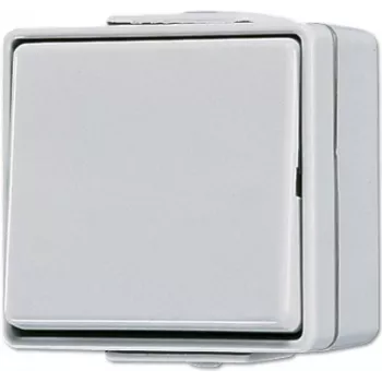 Mygtukinis jungiklis Jung 606 W 1P laidinis 250 V 10 A pilkas