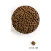 ACANA Highest Protein Pacifica - sausas šunų maistas - 11,4 kg