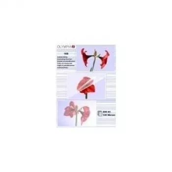 Laminavimo plėvelė Olympia 1x100 DIN A5 125 mikronų