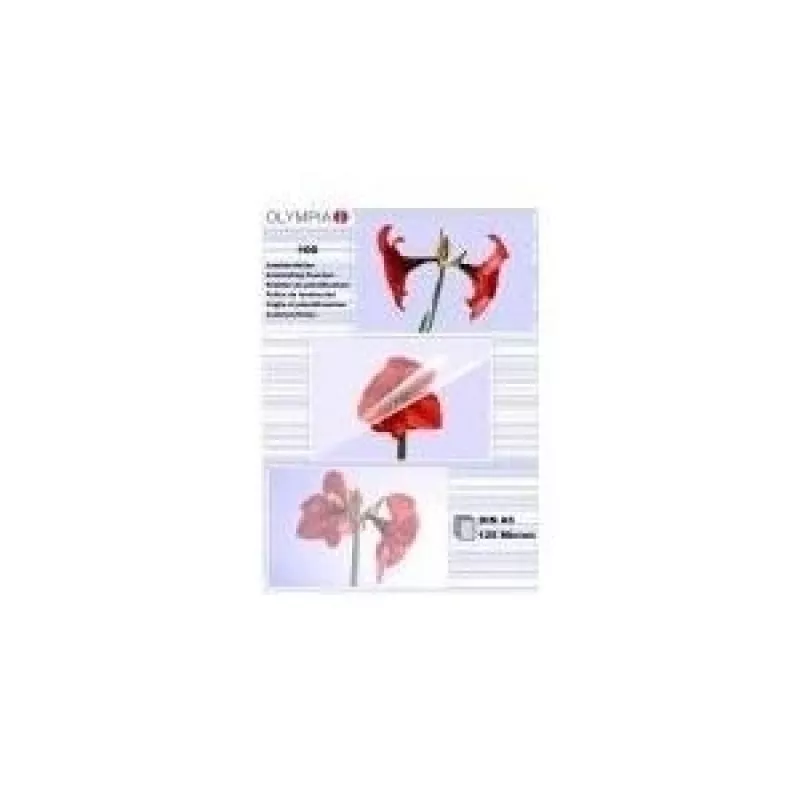 Laminavimo plėvelė Olympia 1x100 DIN A5 125 mikronų