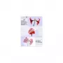 Laminavimo plėvelė Olympia 1x100 DIN A5 125 mikronų
