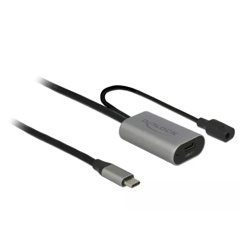 Delock USB-20225 maitinimo adapteris pilkas