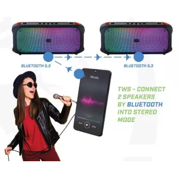 Bluetooth garsiakalbis SoundVox 650, 10 W