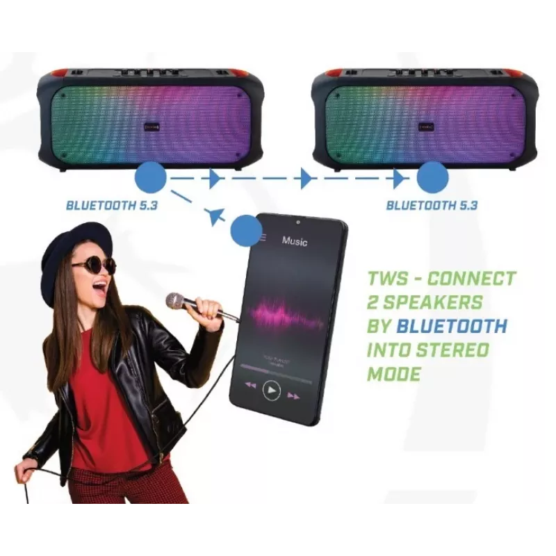 Bluetooth garsiakalbis SoundVox 650, 10 W