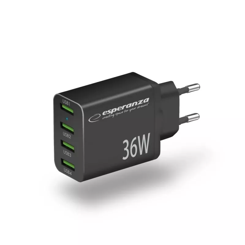 Esperanza EZC107K tinklo maitinimo adapteris 36W Juodas