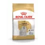 Sausas šunų maistas Royal Canin Maltese Adult 1.5 kg — vištiena, 24% baltymų, 18% riebalų