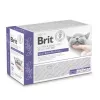 BRIT Veterinary Gastrointestinal Lamb - šlapias kačių maistas - 12x85g
