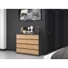 Topeshop M8 120 ANT/ART KPL komoda