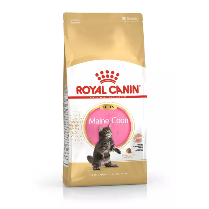 ROYAL CANIN Maine Coon Kitten- sausas kačių maistas - 4 kg