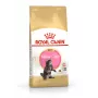 ROYAL CANIN Maine Coon Kitten- sausas kačių maistas - 4 kg