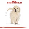 Royal Canin Golden Retriever Junior sausas šunų maistas 12 kg – paukštiena, 29 % baltymų, 16 % riebalų