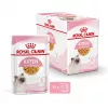 Šlapias kačių maistas Royal Canin Kitten Gravy 85 g — paukštiena, 78 % drėgmės, 12 % baltymų
