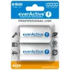 Įkraunama baterija everActive EVHRL20-10000 D NiMH 1,2 V 2 vnt.