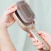 Plaukų priežiūros šepetys CECOTEC HairCare Revitalize Champagne A01_EU01_100152