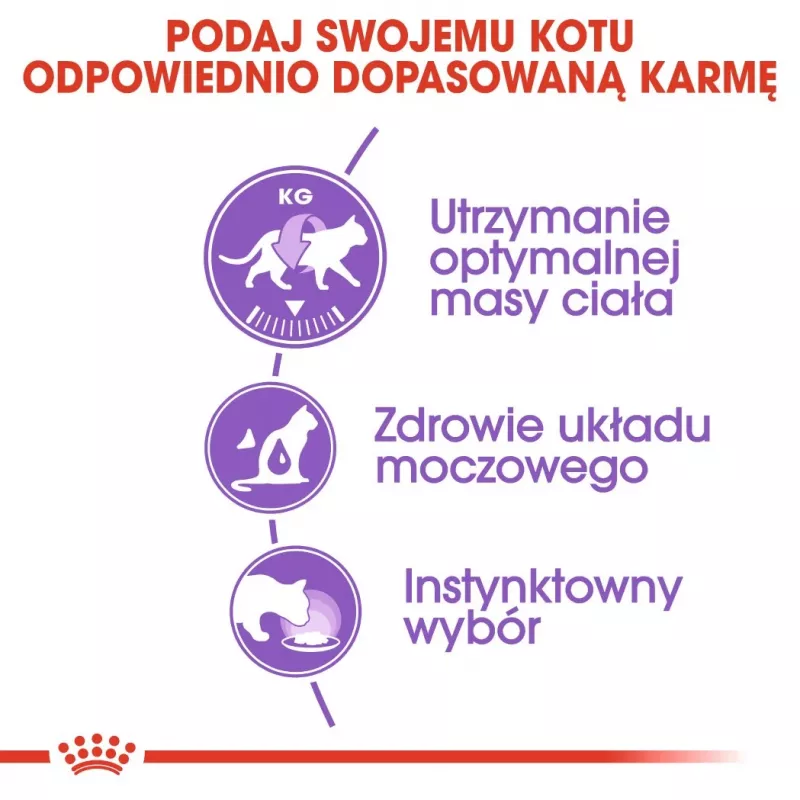 ROYAL CANIN FHN Sterilised padaže – drėgnas suaugusių kačių maistas – 12x85g