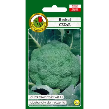 Sėklos — Apte Broccoli 'Cezar' | Daržovių sėklų pakuotė 2 g