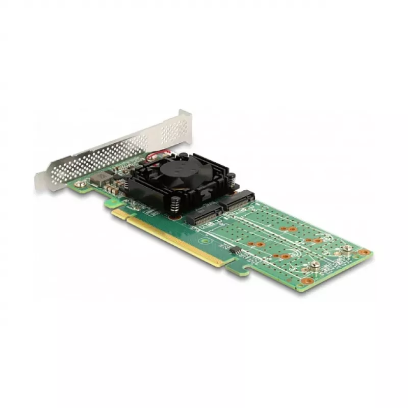 DeLOCK PCI Express x16 kortelė į 4 x vidinius NVMe M.2 Key M – mažo profilio formos faktorius