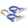 DeLOCK 61066 vidinis USB 3.2 Gen 1 adapteris M.2 Patinas Juoda
