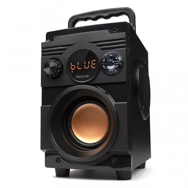 Squeak Bassblaster Bluetooth 5.1 garsiakalbis, FM radijas, MP3 grotuvas SQ1001
