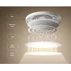 Išmanioji Xiaomi lubinė lempa D30 WiFi 30W