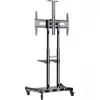 HAGOR HP Twin Stand HD - vežimėlis - plokščiaekraniams / AV įrangai - juoda - ekrano dydis: 140-213 cm (55-84) - tvirtinimo sąsaja: iki 800 x 500 mm (8210)