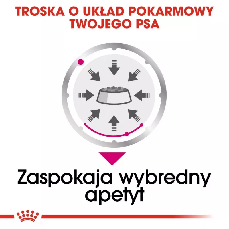 Šlapias šunų maistas Royal Canin Exigent Meat Universal 12×85 g — Paukštiena, suaugusiems šunims, išrankiems šunims