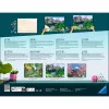 Ravensburger CreArt tapymo pagal skaičius rinkinys Landhaus am Fluss (Namelis prie upės)