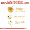 Sausas šunų maistas Royal Canin Bulldog Adult 12 kg — suaugusiems buldogams, vištienos skonio, 24% baltymų, 14% riebalų
