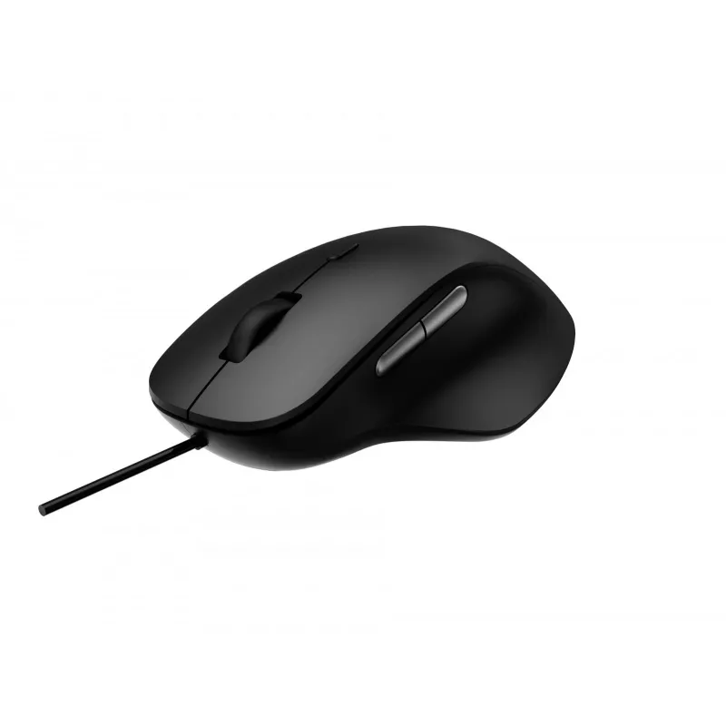 Rapoo N500 Pelė, biuro, USB Type-A, optinė, 3600 DPI