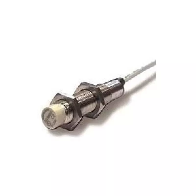 Fotoelektrinis jutiklis Datalogic BASIC M12 — pilkas korpusas, žalvarinis gaubtas, 0,5 kHz, 0,2 A, 48,4 mm gylis