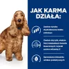 HILL's Prescription Diet Food Sensitivites z/d - sausas šunų maistas - 10 kg